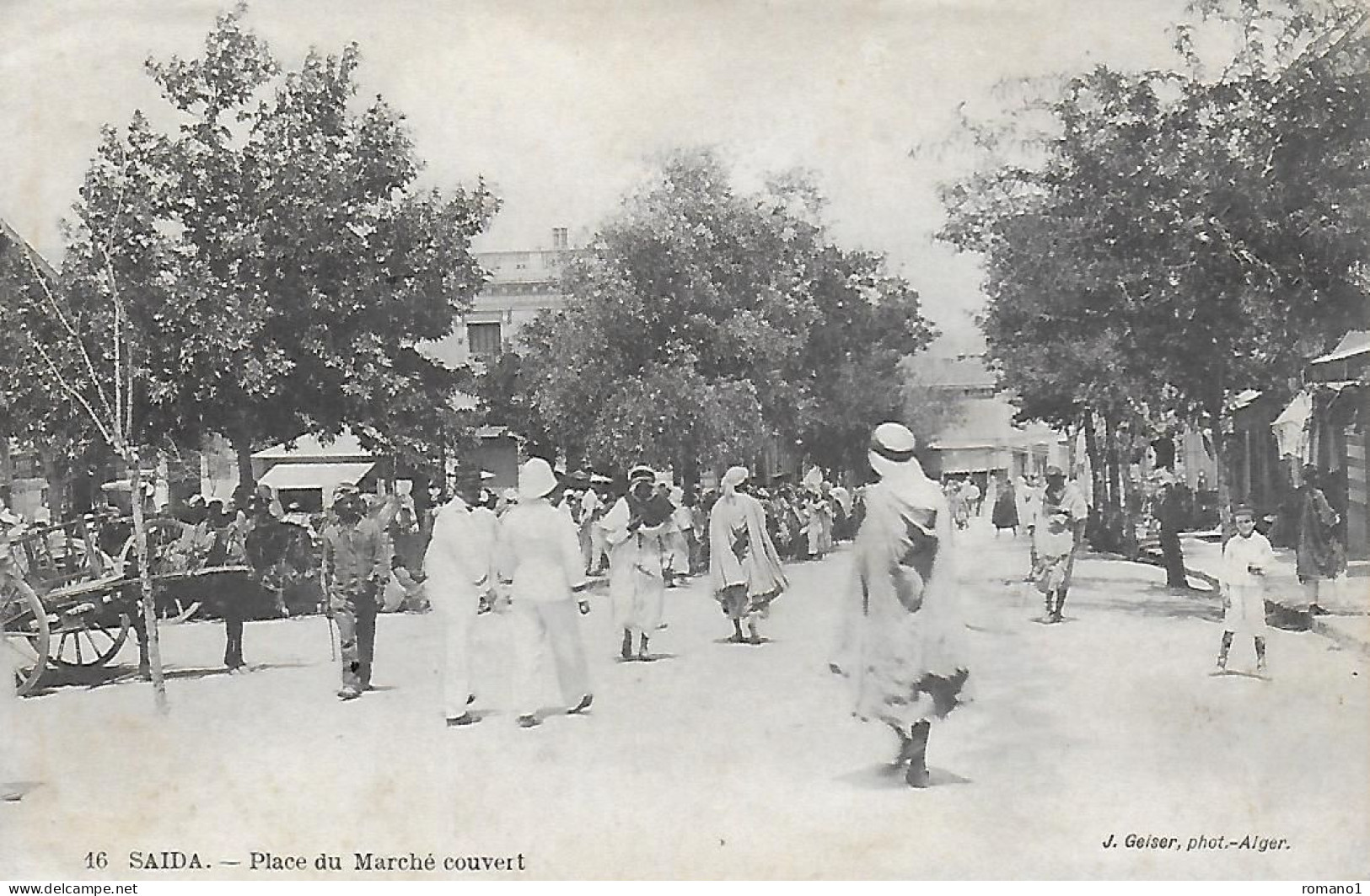 Algérie )    SAIDA - Place Du Marché Couvert - Saïda