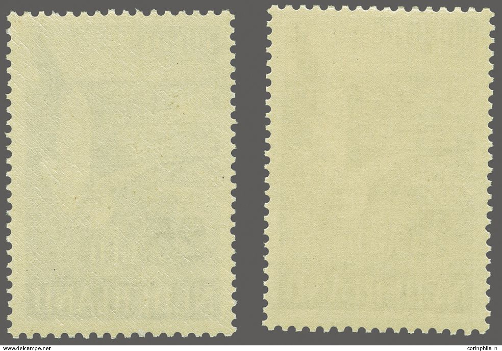 Airmail , Unmounted Mint Meeuwen 15 En 25 Gulden, Cat.w. 600 - Poste Aérienne