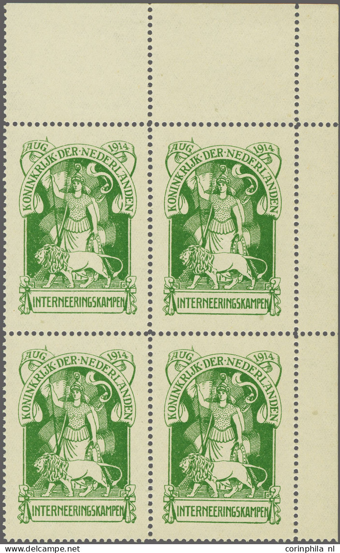 Unmounted Mint , Block Nederlandse Maagd In Groen In Hoekrandblok Met Variëteit - 2e E Van Nederland Gebroken (Nedfrland - Autres & Non Classés