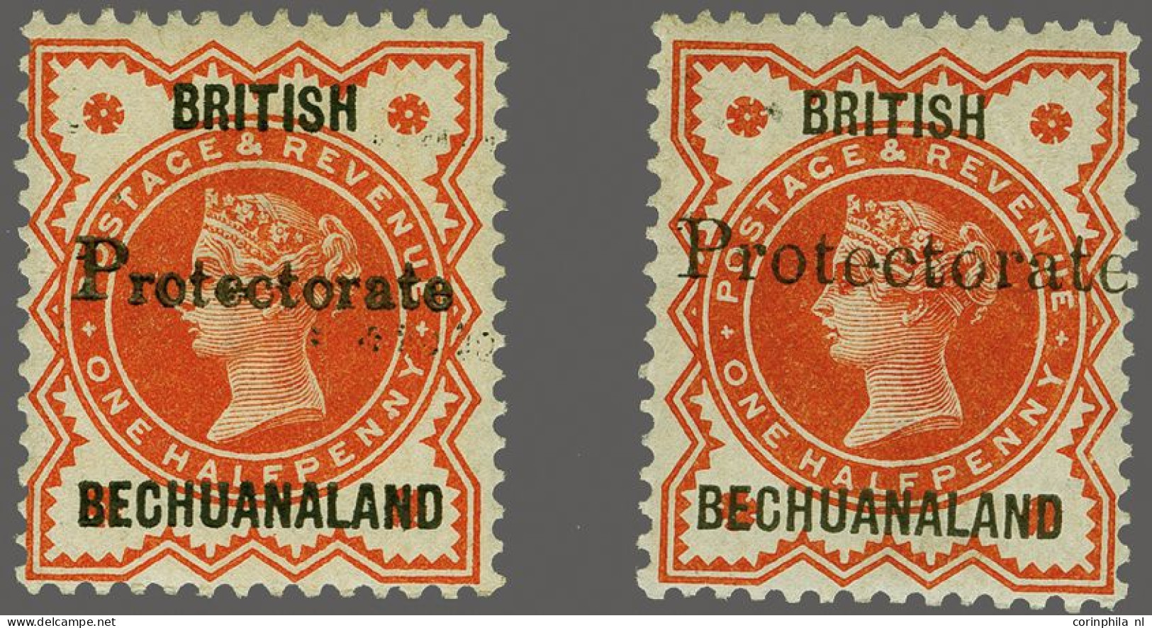 Mounted Mint 1890 ½d. Vermillion Overprinted Protectorate Types 16 (15mm) And 17 (19mm) Fine To Very Fine, Cat. £ 525 - Altri & Non Classificati