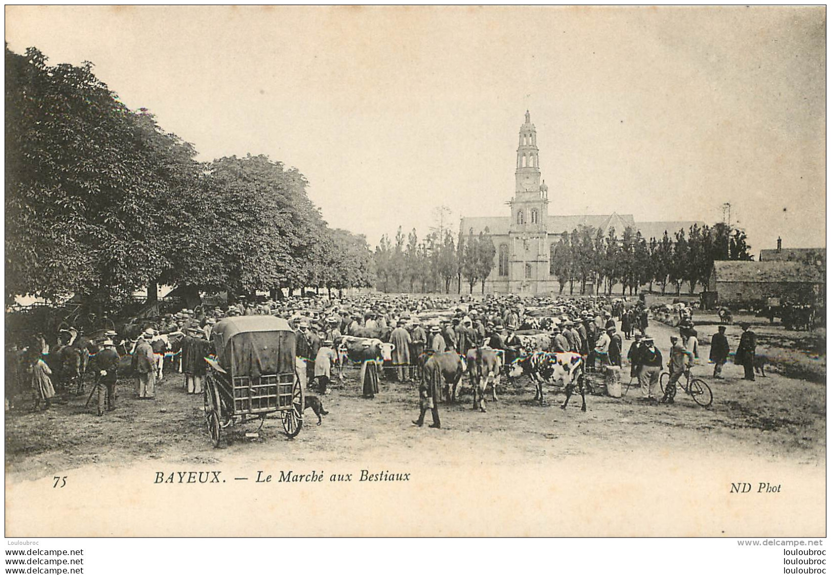 BAYEUX LE MARCHE AUX BESTIAUX - Bayeux