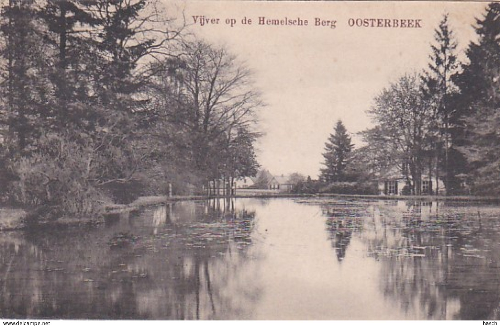 260669Oosterbeek, Vijver Op De Hemelsche Berg.  - Oosterbeek