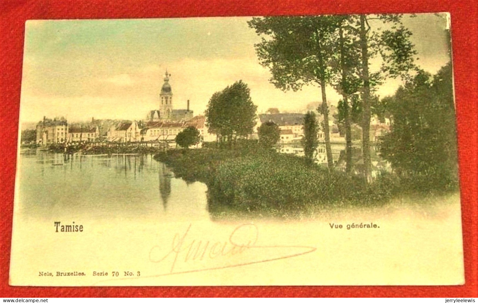 TEMSE - TAMISE   -  Panorama  - Vue Générale    -  1902  - - Temse