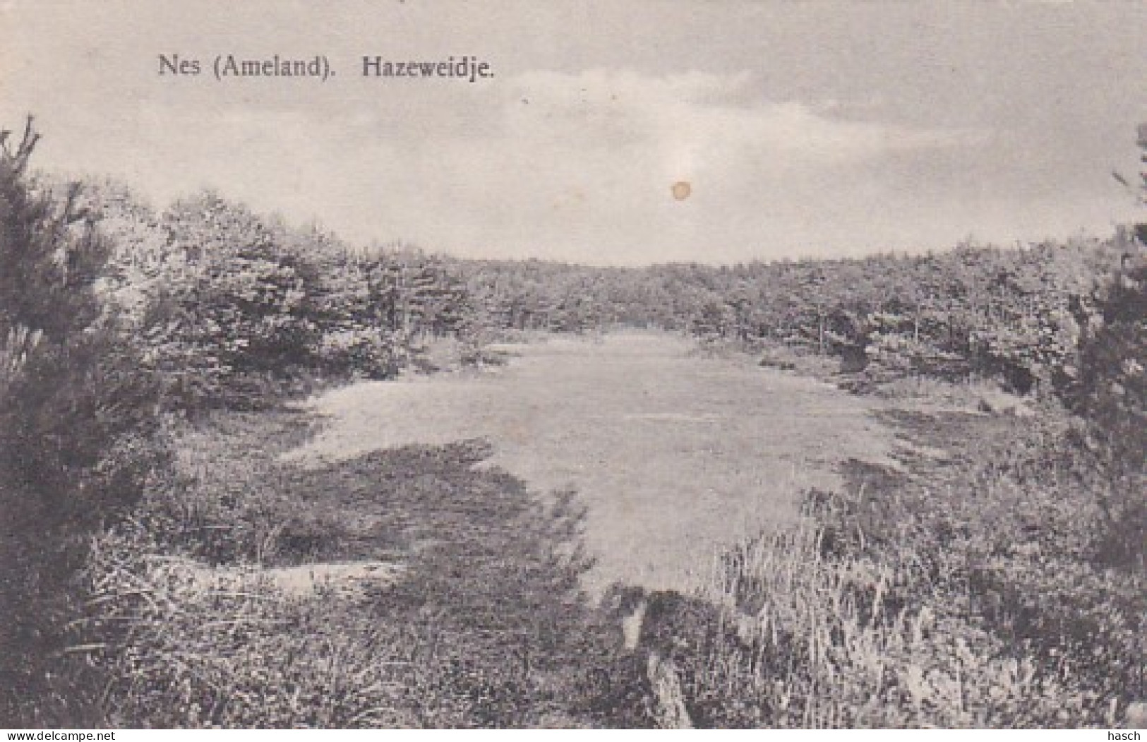 2606173Nes, Hazeweidje. (minuscule Vouwen In De Hoeken) - Ameland