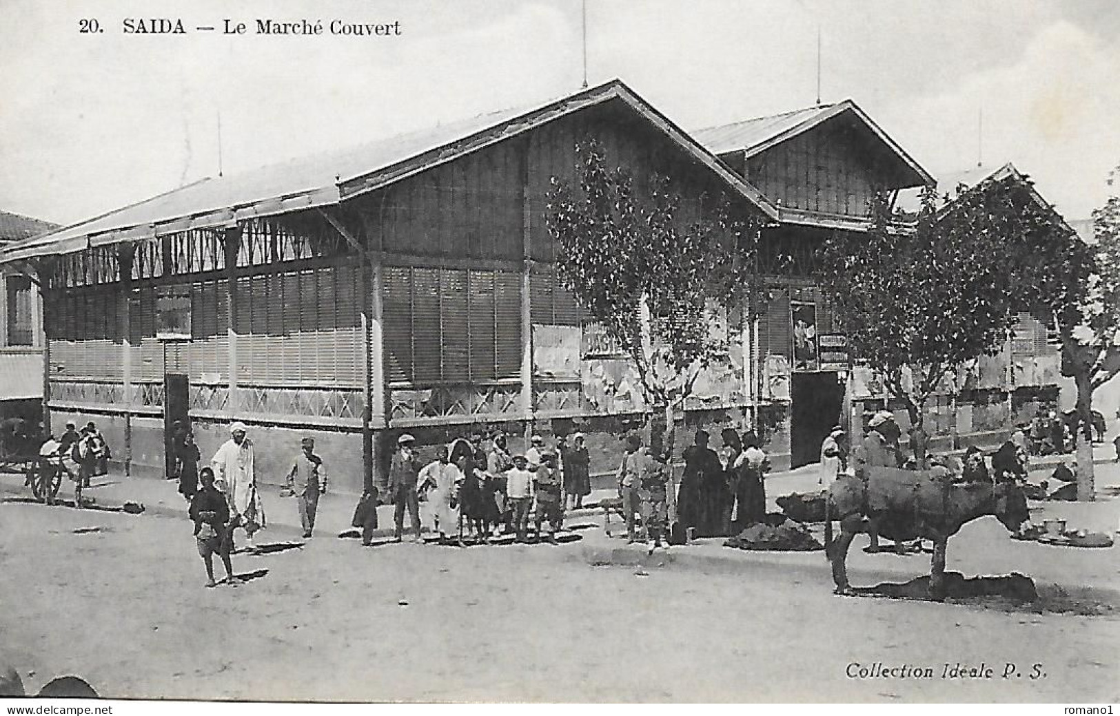 Algérie )    SAIDA - Le Marché Couvert - Saïda