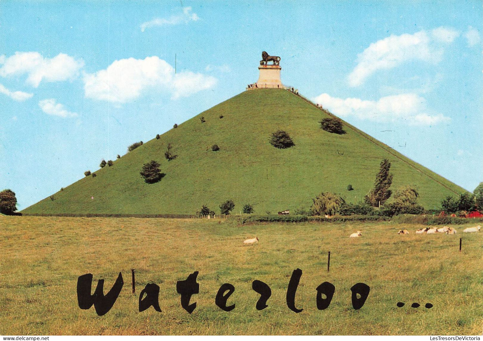 BELGIQUE - Waterloo - La Butte Et Le Lion - Carte Postale - Waterloo