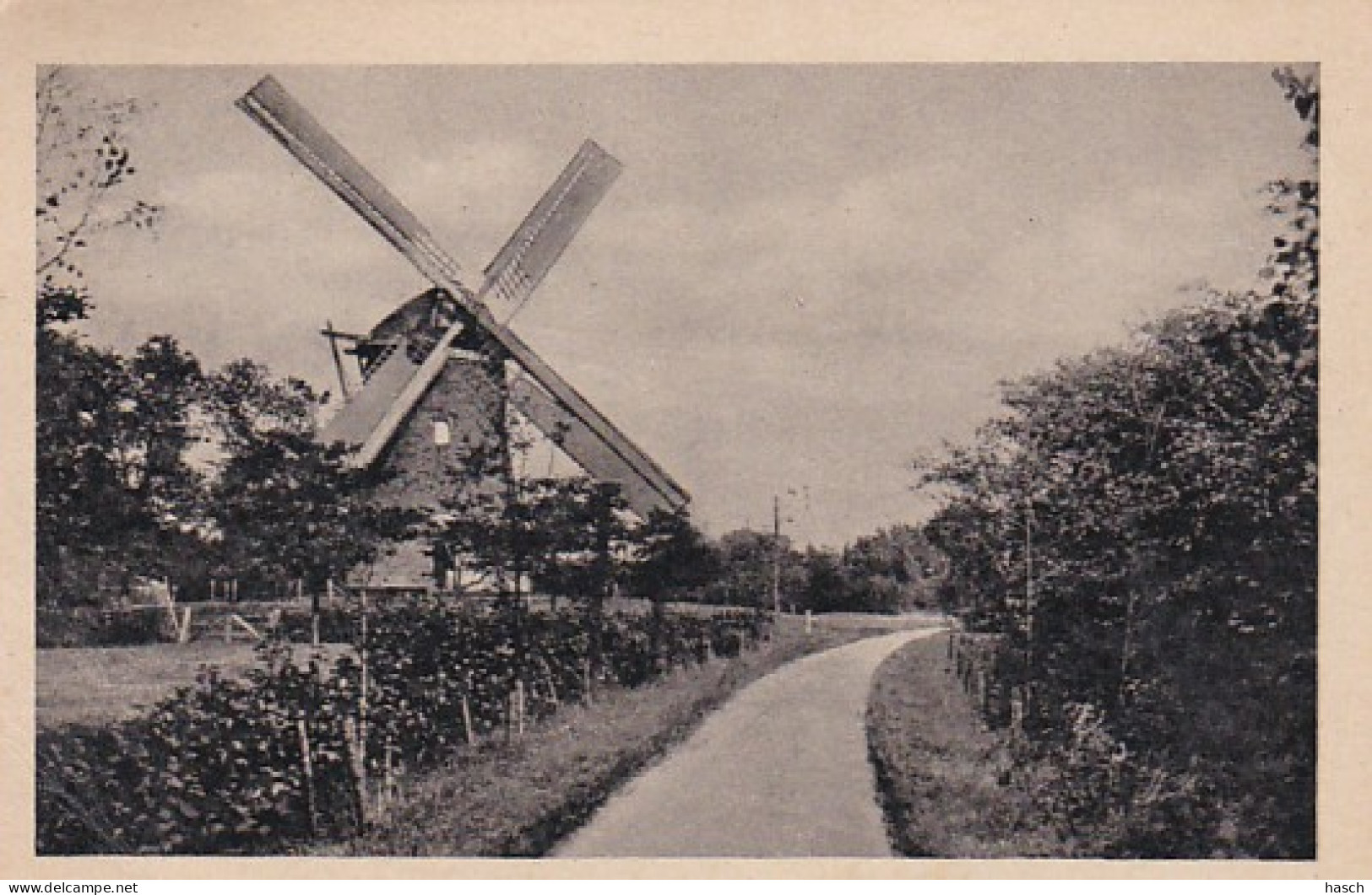 2606245Schoorl, Molenweg – 1948 (zie Hoeken) - Schoorl