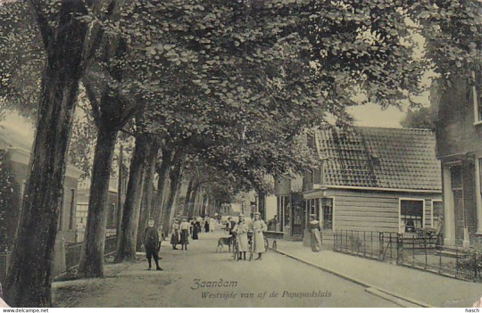 2606249Zaandam, Westzijde Van Af De Papepadsluis – 1908 (diverse Gebreken) - Zaandam