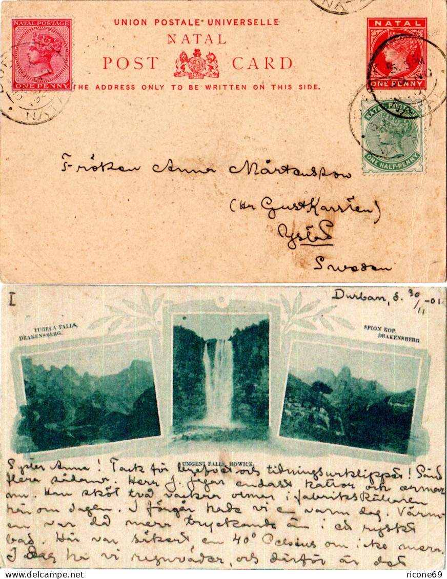 Natal 1901, 1/2+1d Zusatzfr. Auf 1d Bild Ganzsache V. Durban N. Schweden - Altri - Africa