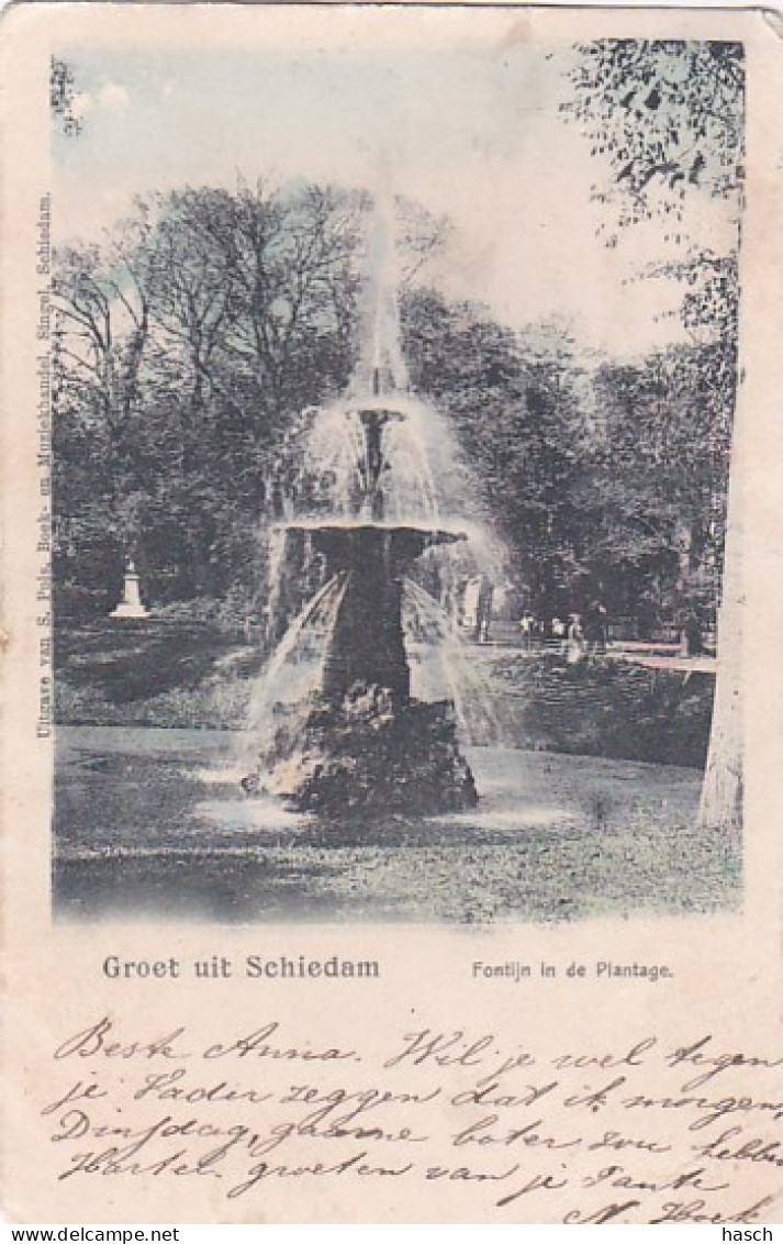 2606436Schiedam, Groet Uit Schiedam. Fontijn In De Plantage Rond 19009 (ZIE HOEKEN EN RANDEN) - Schiedam