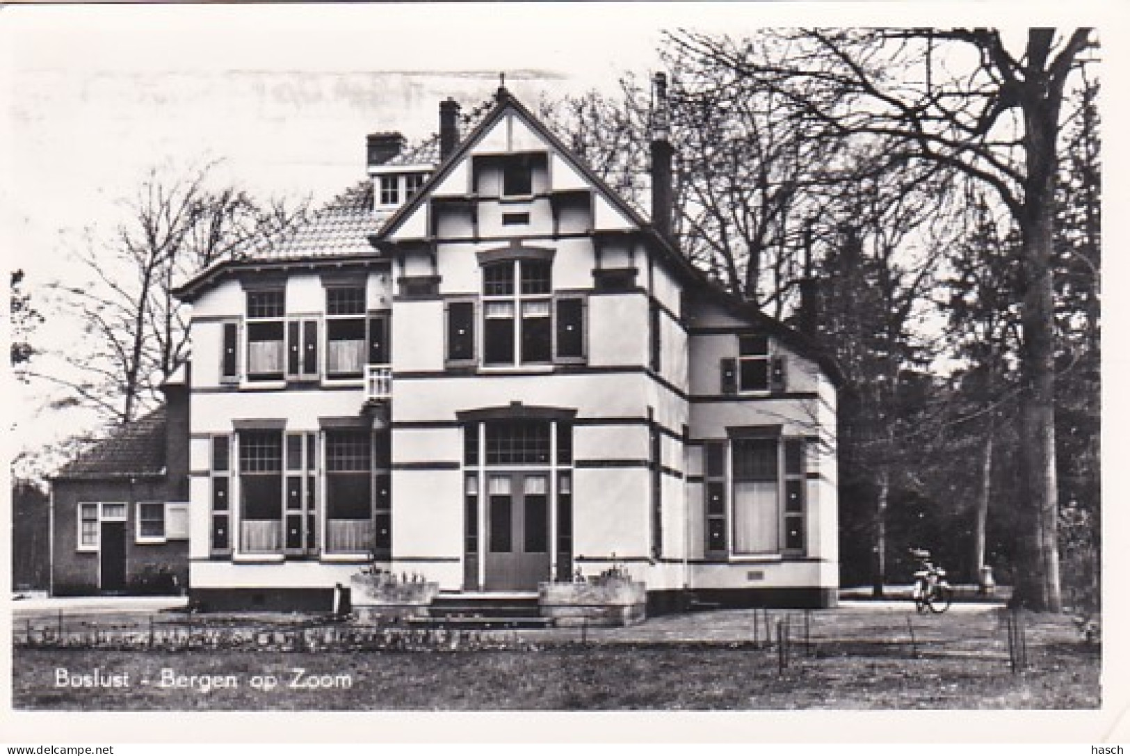 2606551Bergen Op Zoom, Boslust. (FOTOKAART) (Kleine Vouwen In De Hoeken)  - Bergen Op Zoom