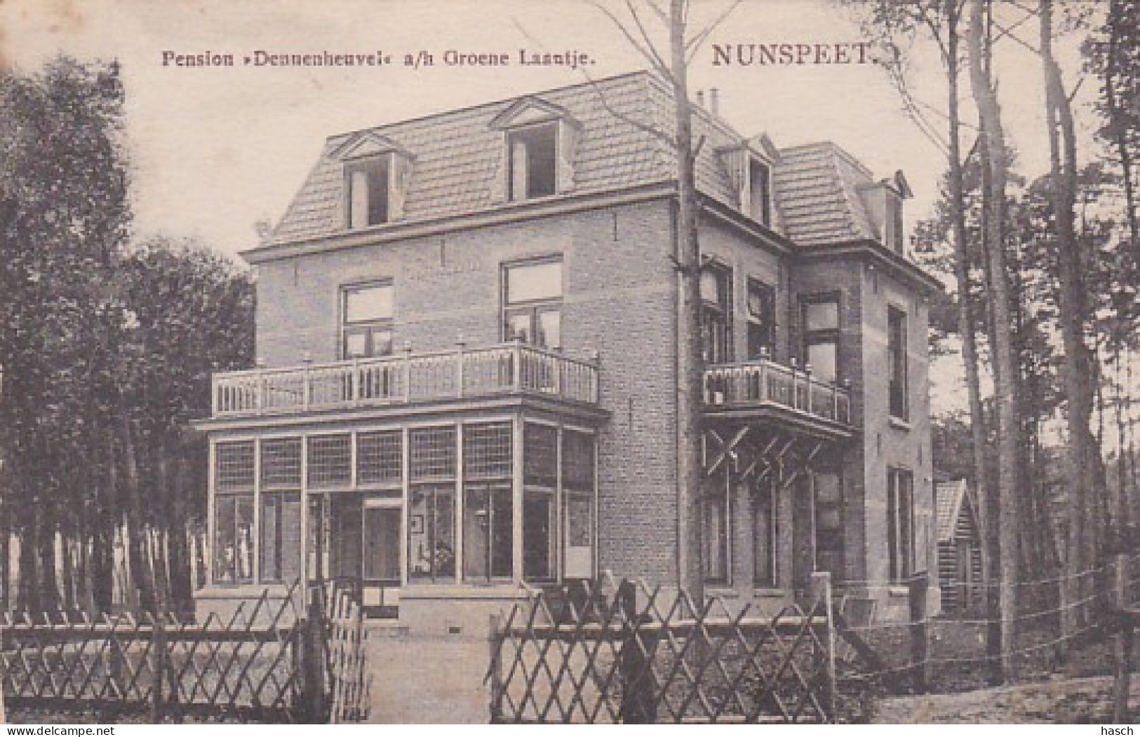 2606673Nunspeet, ,,Pension Dennenheuvel'' A/ H Groene Laantje. - Nunspeet