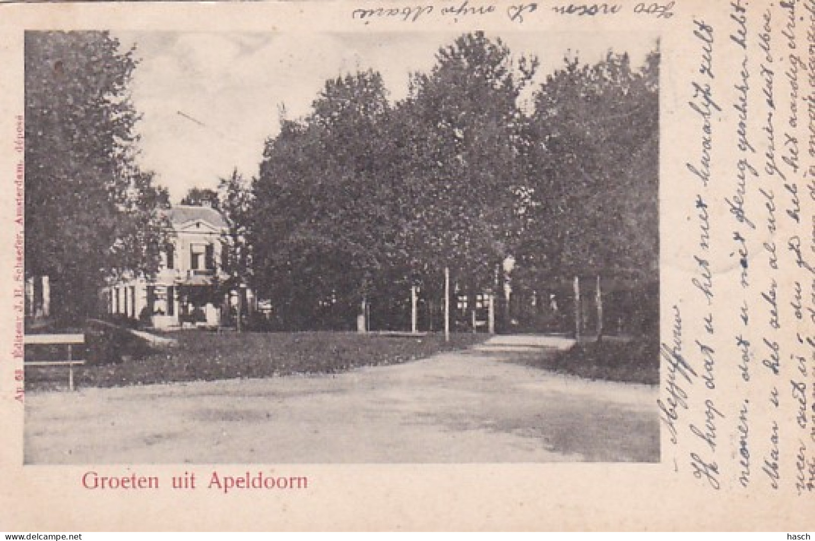 2606697Apeldoorn, Groeten Uit Apeldoorn. (Poststempel 1903) - Apeldoorn