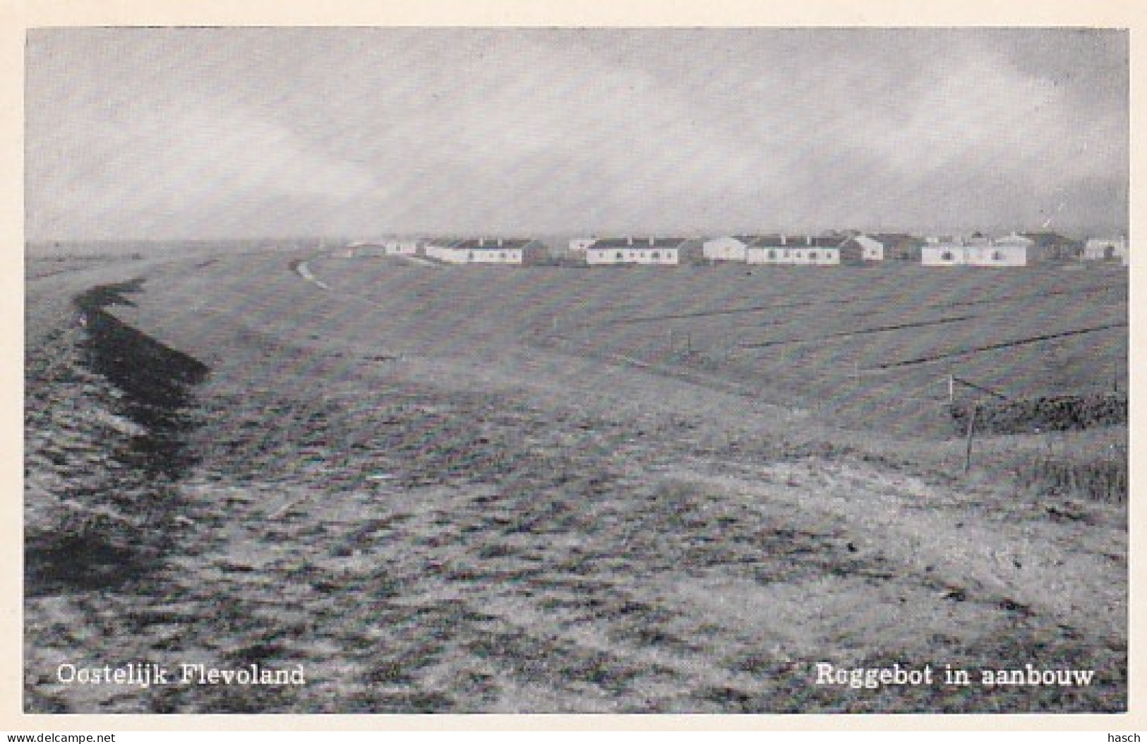 2606435Oostelijk Flevoland, Roggebot In Aanbouw. - Autres & Non Classés