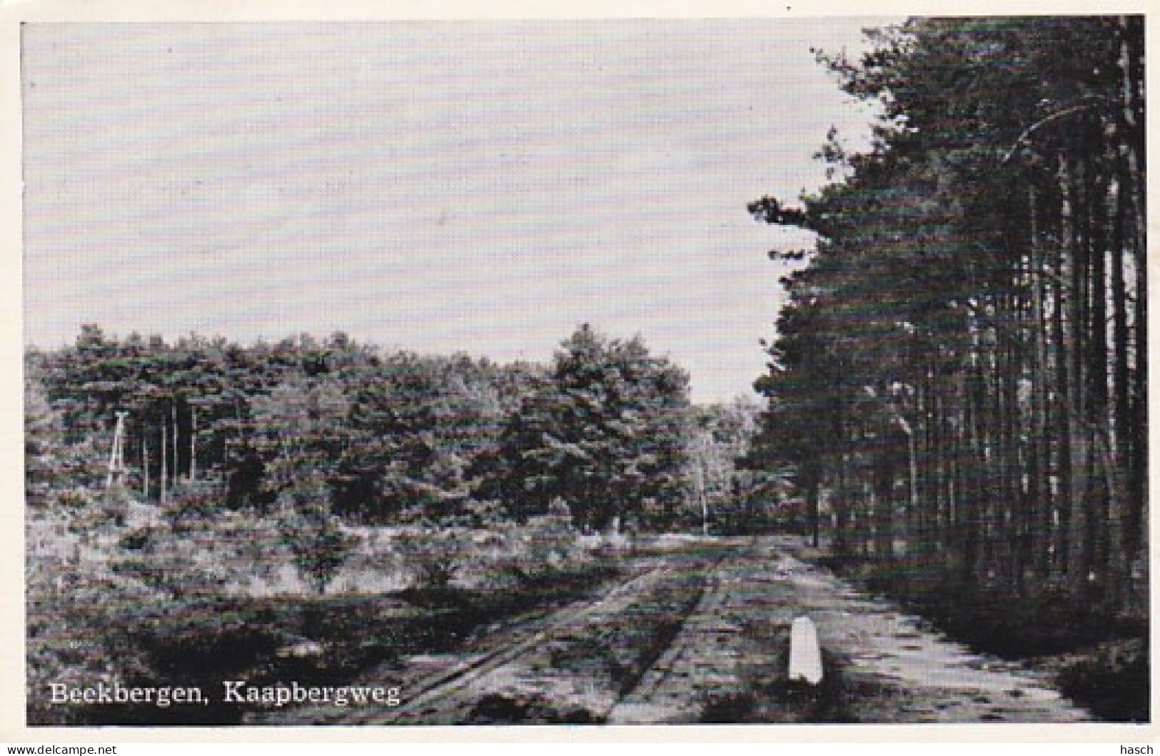 4770165 Beekbergen, Kaapbergweg 1960 - Apeldoorn