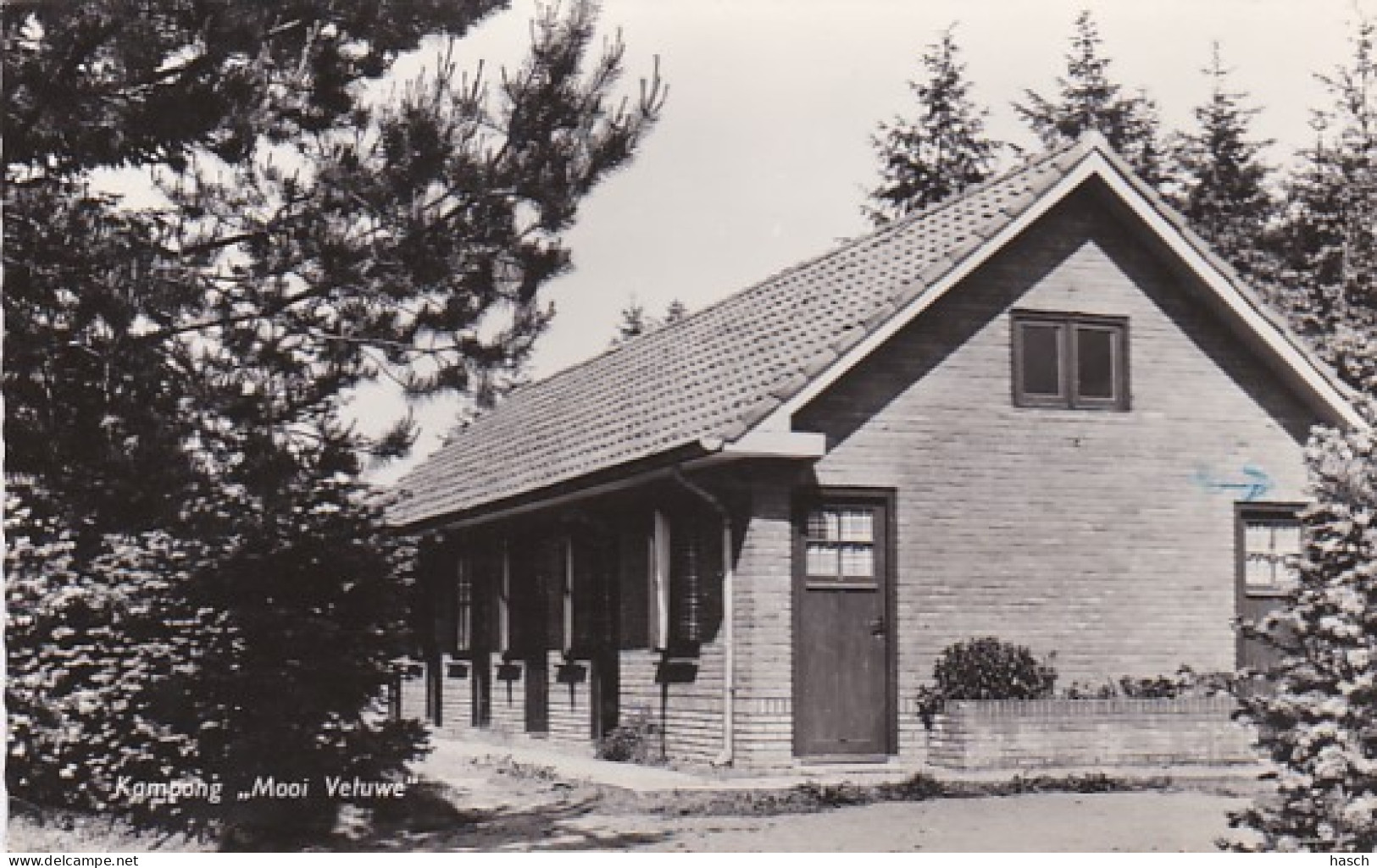 4770222Putten, Vacantie Centrum Mooi Veluwe. – 1962. (linksonder Een Vouwtje, Zie Pijl) - Putten