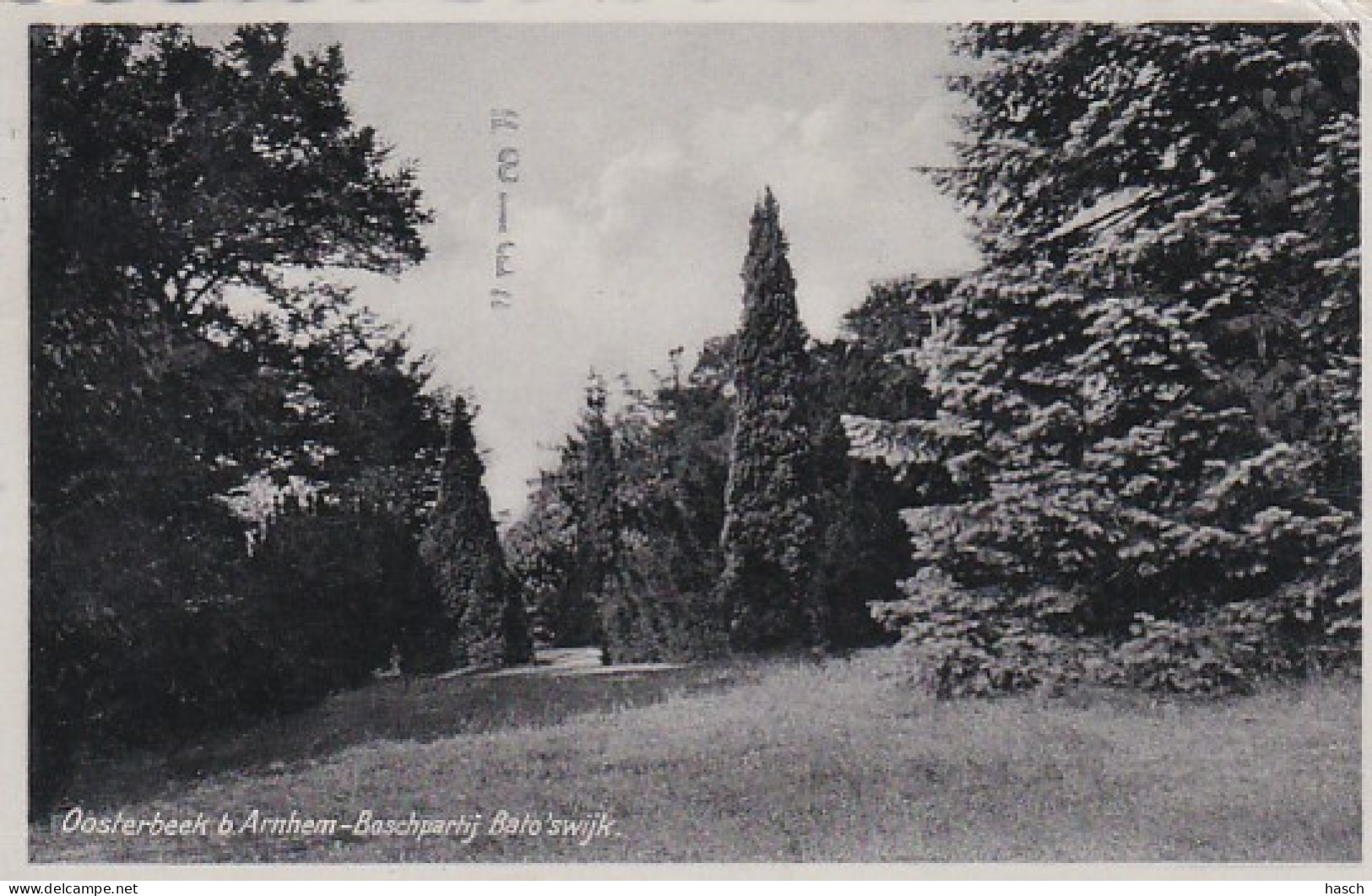 4770228Oosterbeek Bij Arnhem Boschpartij Bato'swijk. - 1938 (rechtsboven Een Kleine Vouw) - Oosterbeek