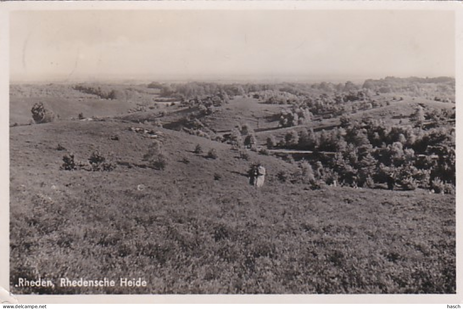 4770236Rheden, Rhedensche Heide. (kleine Vouwen In De Hoeken) - Rheden