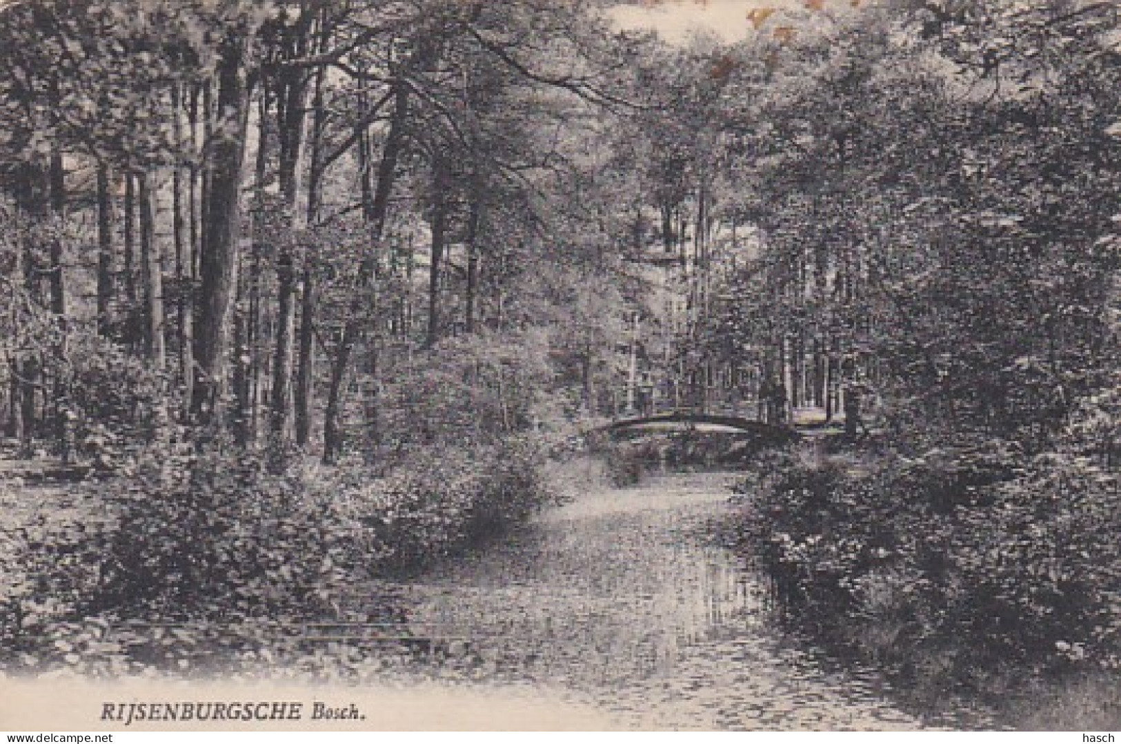 4770a25Rijsenburgsche Bosch.  - Driebergen – Rijsenburg