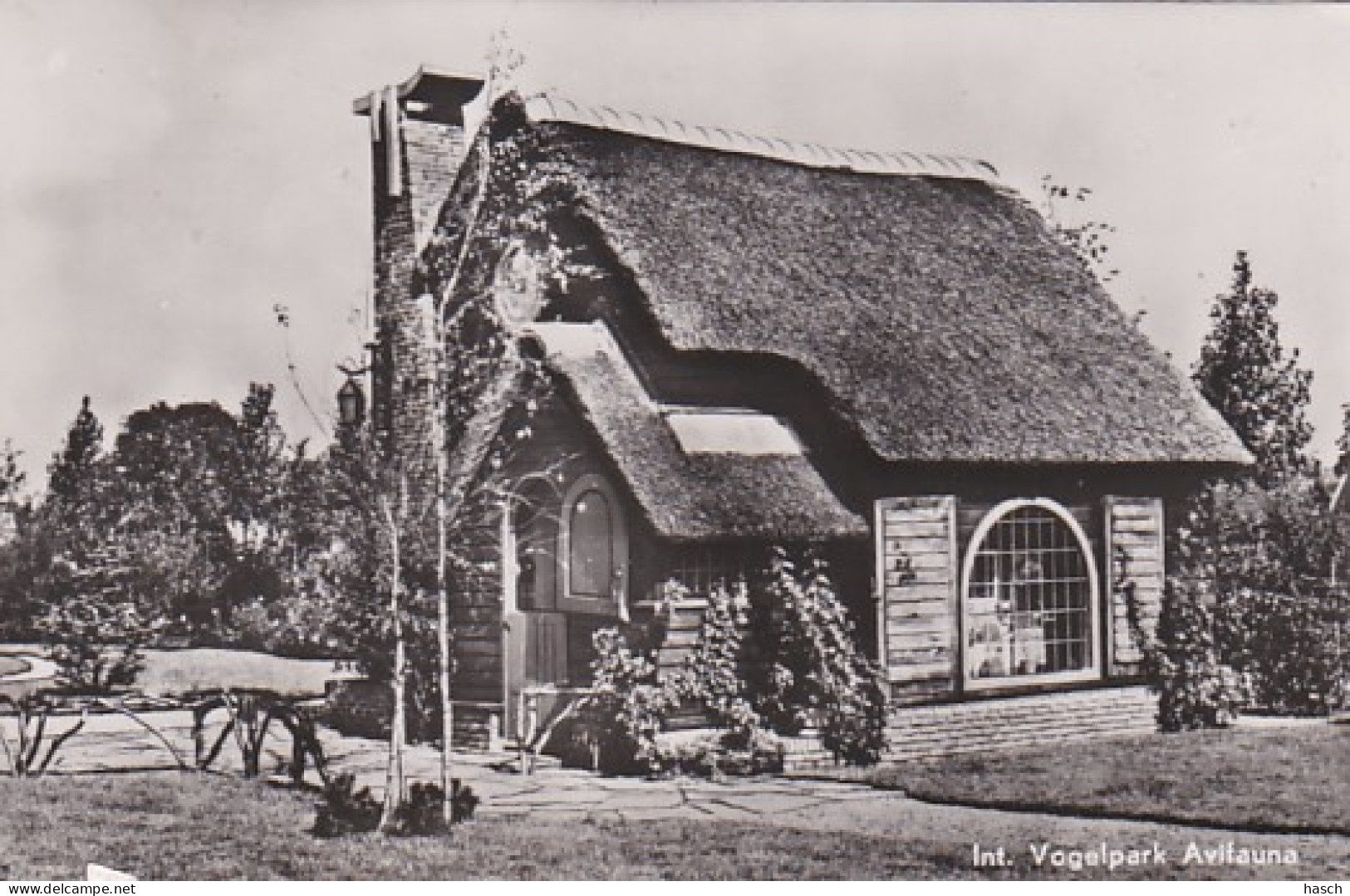 4770a37 Int. Vogelpark Avifauna. Souvenir Huisje. (FOTOKAART) (Beschadiging Linksonder) - Alphen A/d Rijn