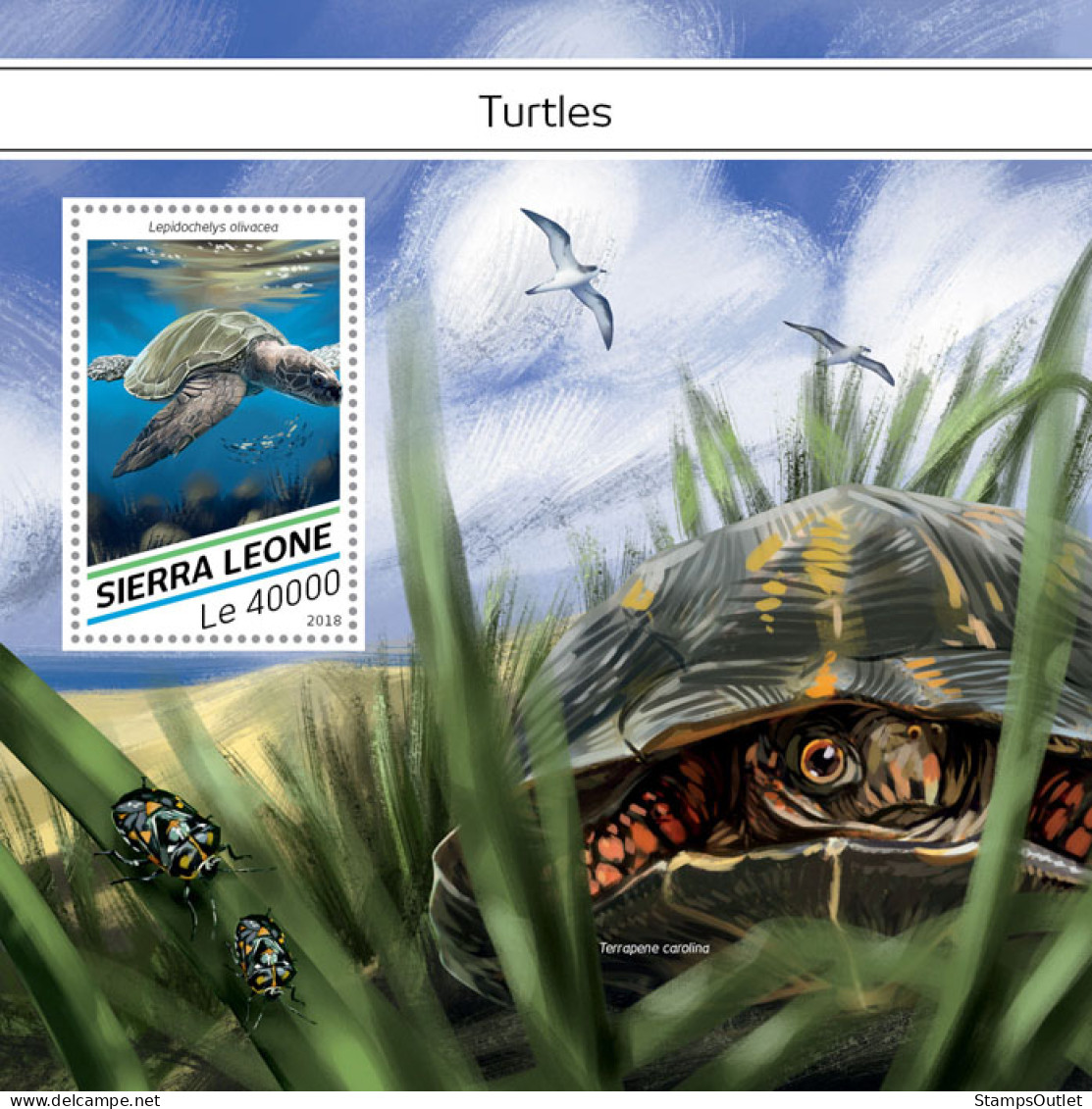  SIERRA LEONE 2018 MNH  Turtles  Michel Code: 9758 / Bl.1479. Scott Code: 4860. Yvert&Tellier Code: 1464 - Sierra Leone (1961-...)