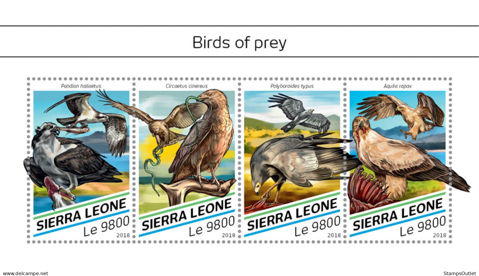  SIERRA LEONE 2018 MNH  Birds Of Prey  Michel Code: 9759-9762. Scott Code: 4837. Yvert&Tellier Code: 8029-8032 - Sierra Leone (1961-...)