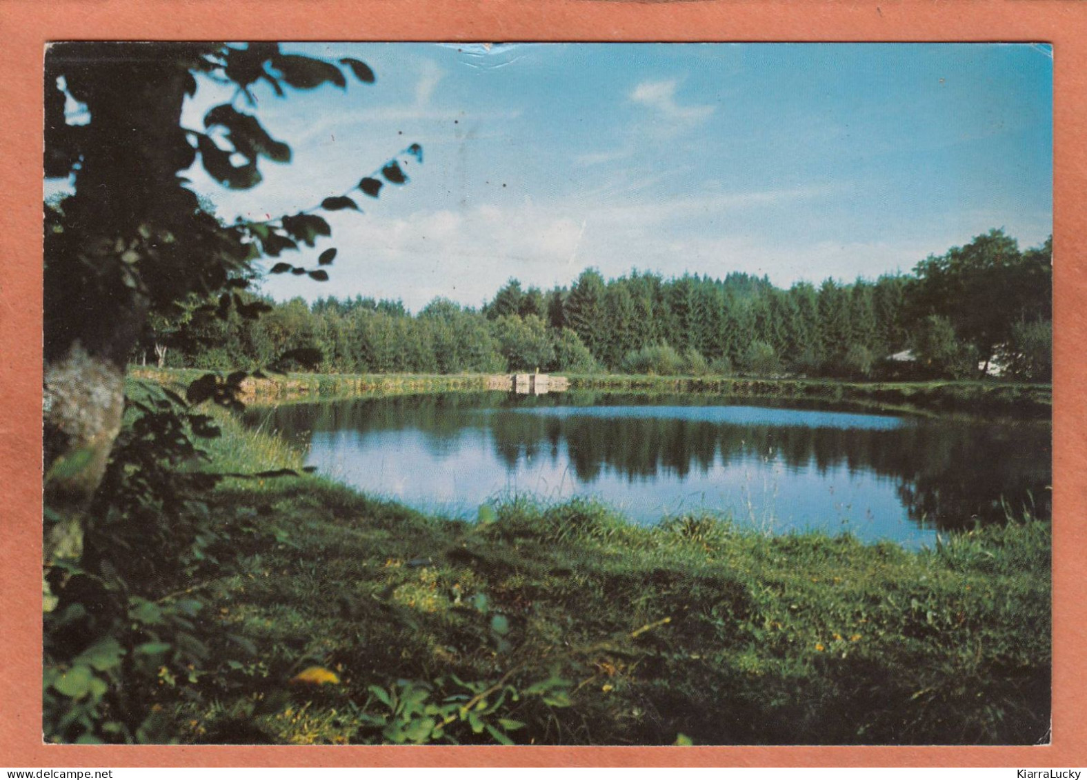 OIGNIES EN THIERACHE - NAMUR VIROINVAL - ETANG DE LA VALLEE DES PRES - ECRITE - Viroinval