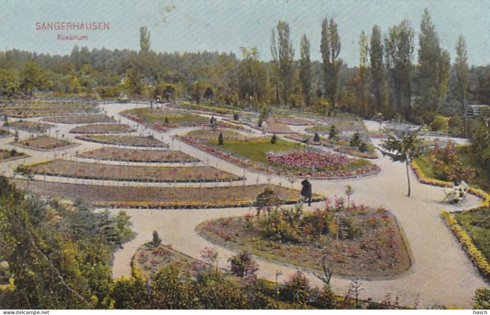 4849142Sangerhausen, Rosarium 1909. (Verschiedene Falten) - Sangerhausen