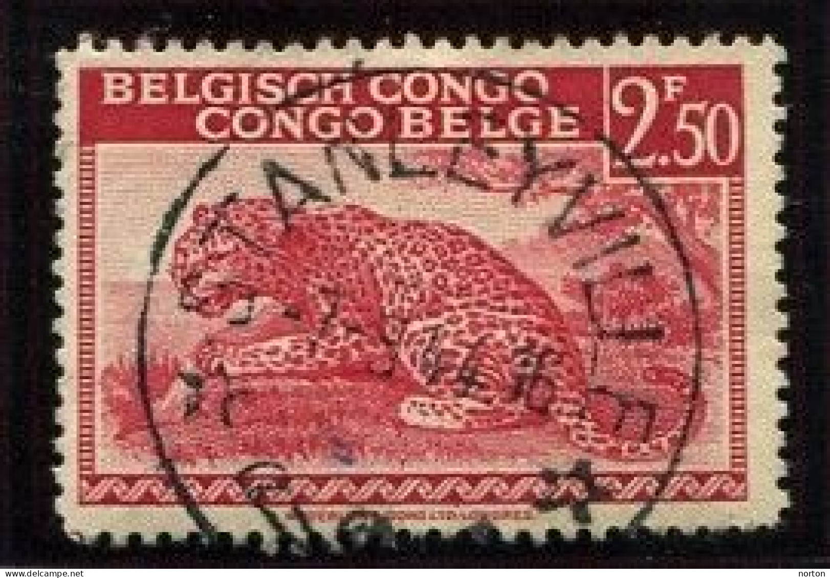 Congo Stanleyville  Oblit. Keach 8A2 Sur C.O.B. 241 Le 07/09/1944 - Usados