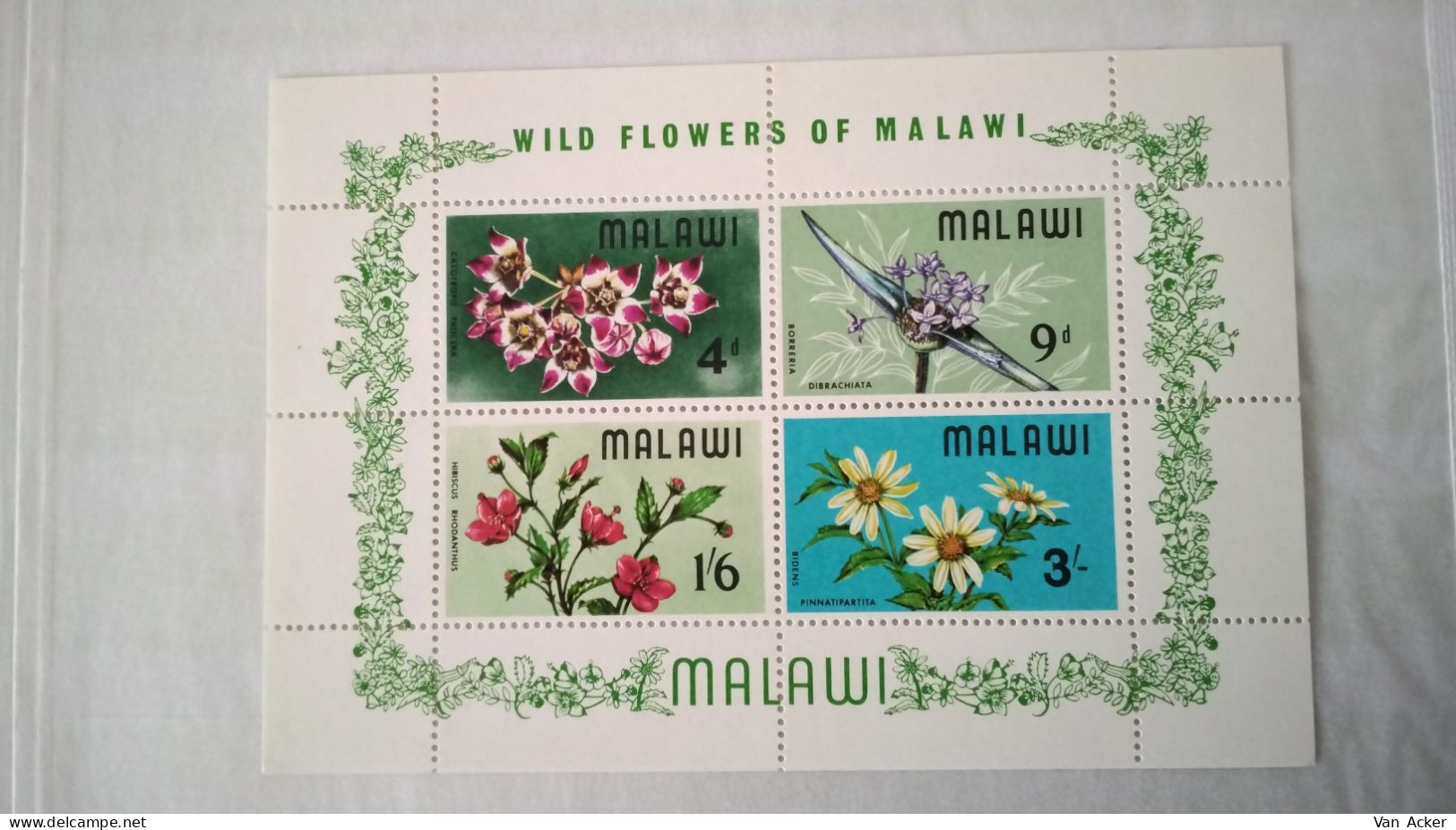 Malawi BL10** Wild Flowers. - Malawi (1964-...)