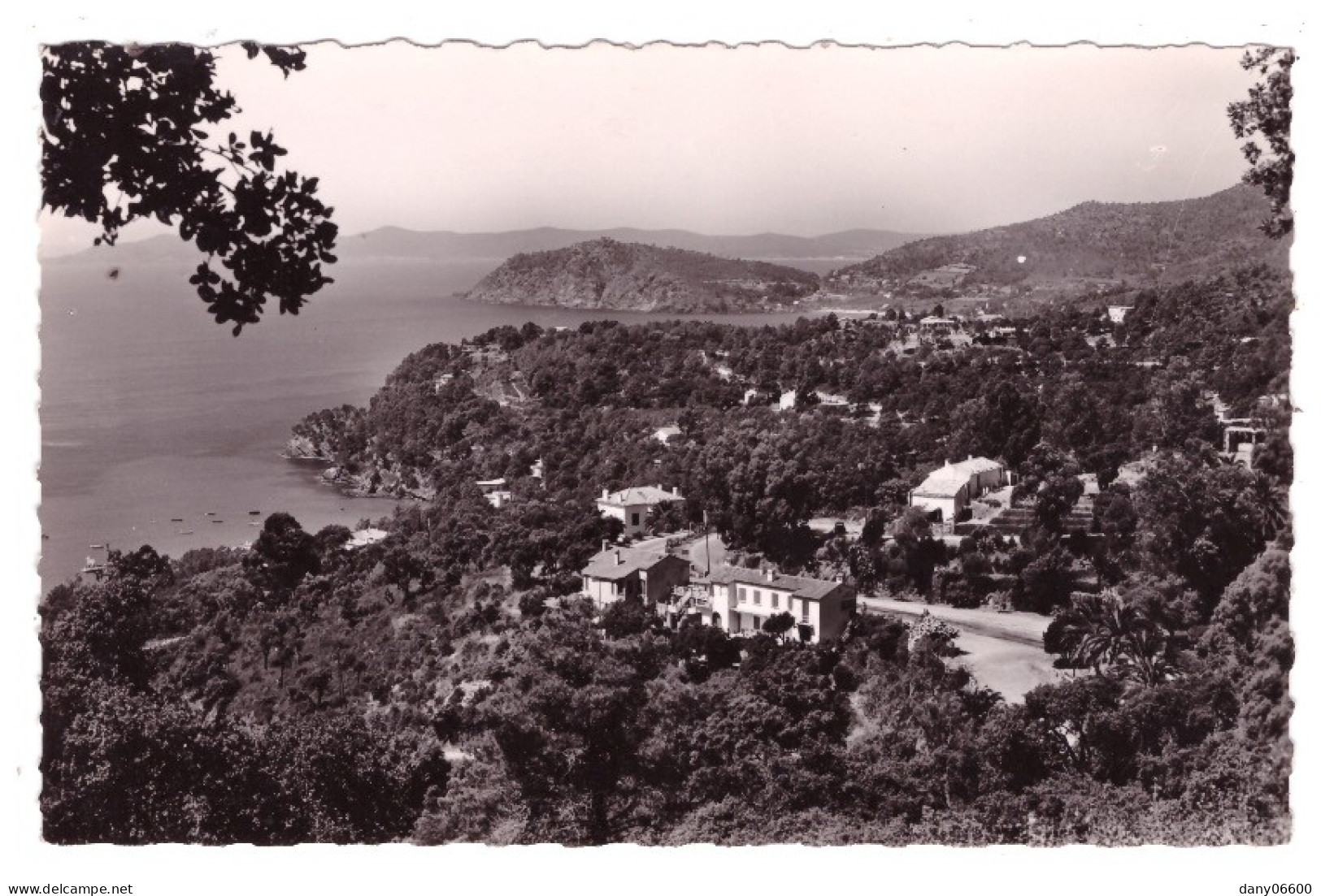 LE RAYOL Le Cap Nègre (carte Photo) - Rayol-Canadel-sur-Mer