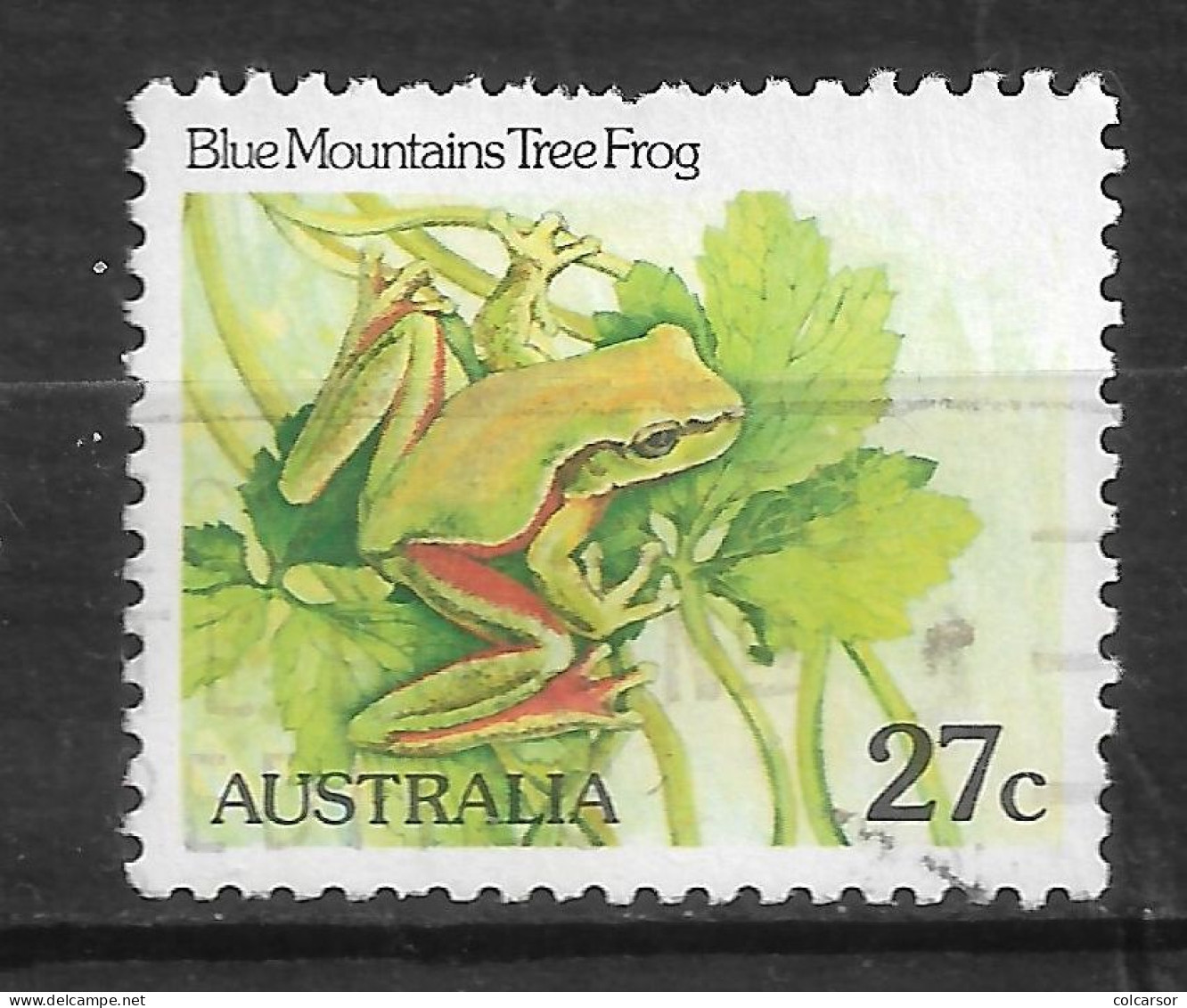 AUSTRALIE N°  768 " GRENOUILLE " - Grenouilles