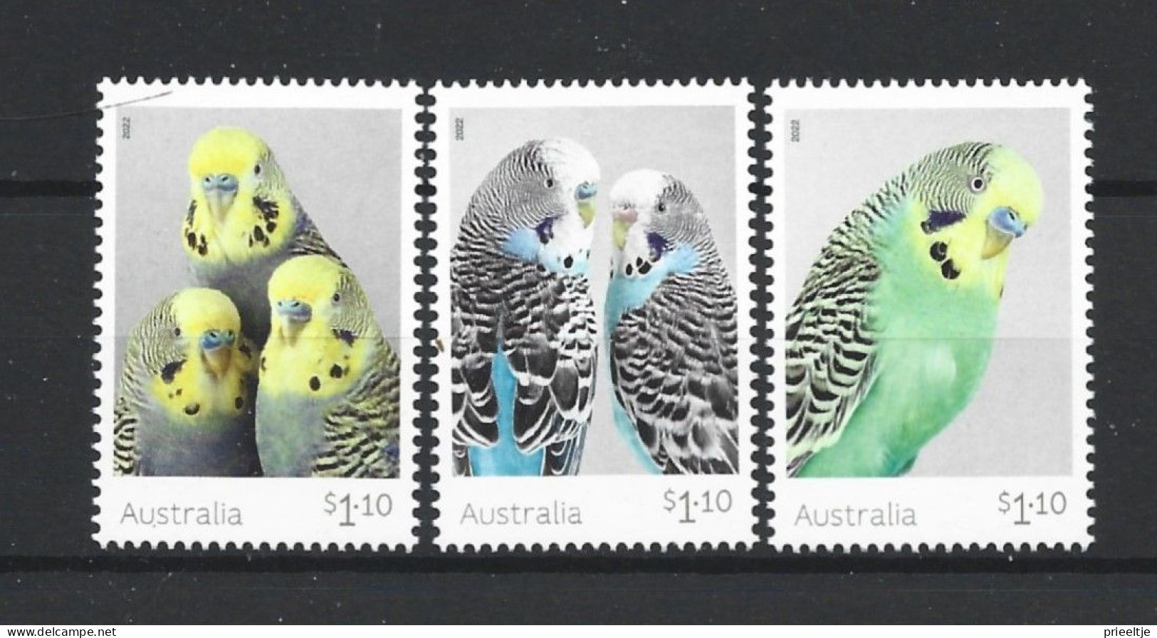 Australia 2022 Budgerigars Y.T. 5266/5268 ** - Unused Stamps