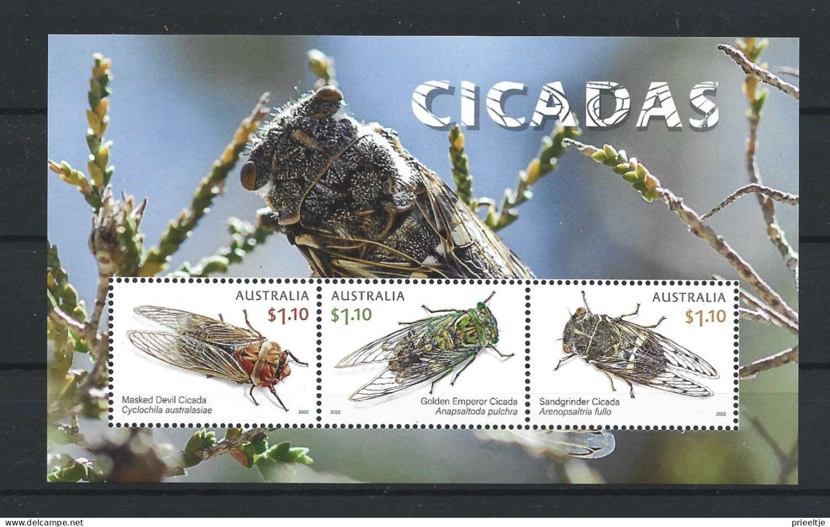 Australia 2022 Cicadas S/S Y.T. BF 341  ** - Blocs - Feuillets