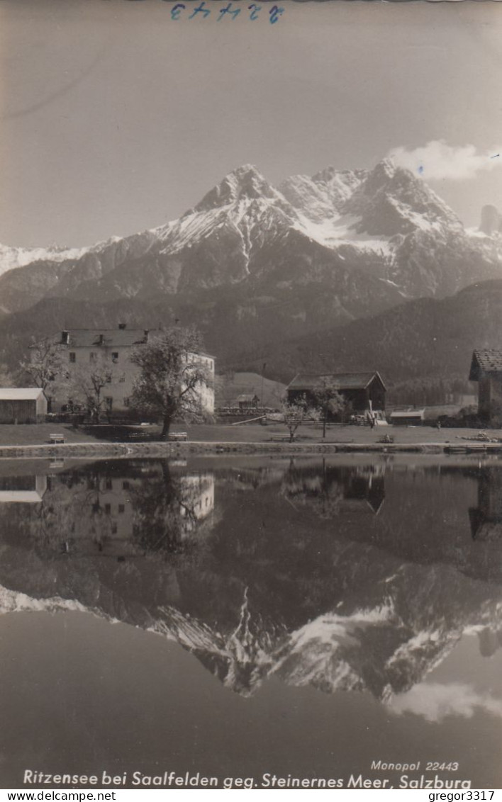 E4749) RITZENSEE Bei SAALFELDEN Geg. Steinernes Meer - Salzburg - S/W FOTO AK - - Saalfelden