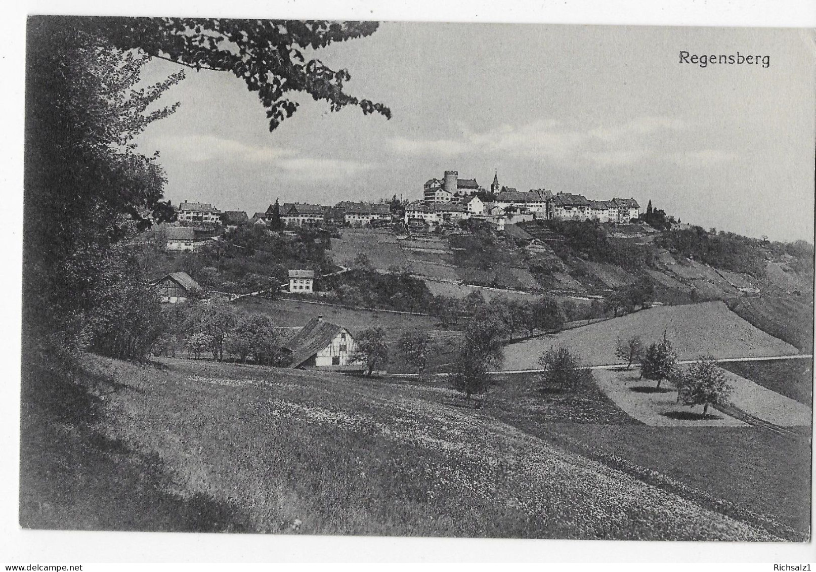 Heimat Zürich:Ansicht Von Regensberg - Regensberg