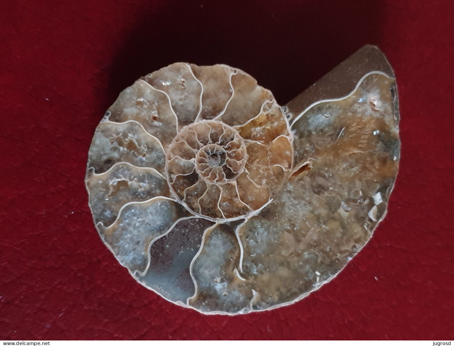 Lot De Une Ammonite Cristallisée 4,6 Cm Et 3 Lapis Lazuli Prêts à Sertir - Fósiles