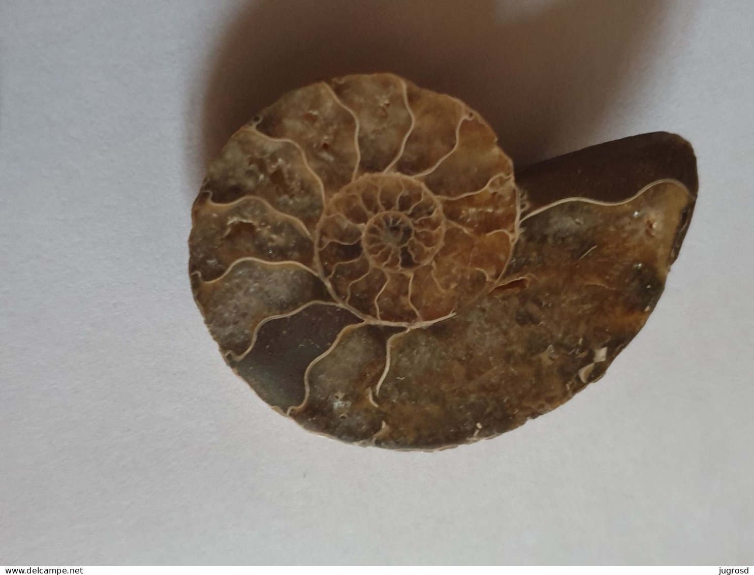 Lot De Une Ammonite Cristallisée 4,6 Cm Et 3 Lapis Lazuli Prêts à Sertir - Fósiles