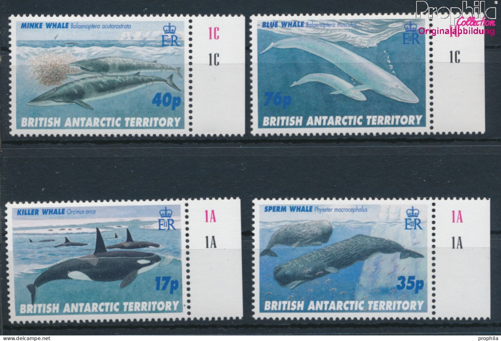 Britische Gebiete Antarktis 250-253 (kompl.Ausg.) Postfrisch 1996 Wale (10331994 - Nuovi