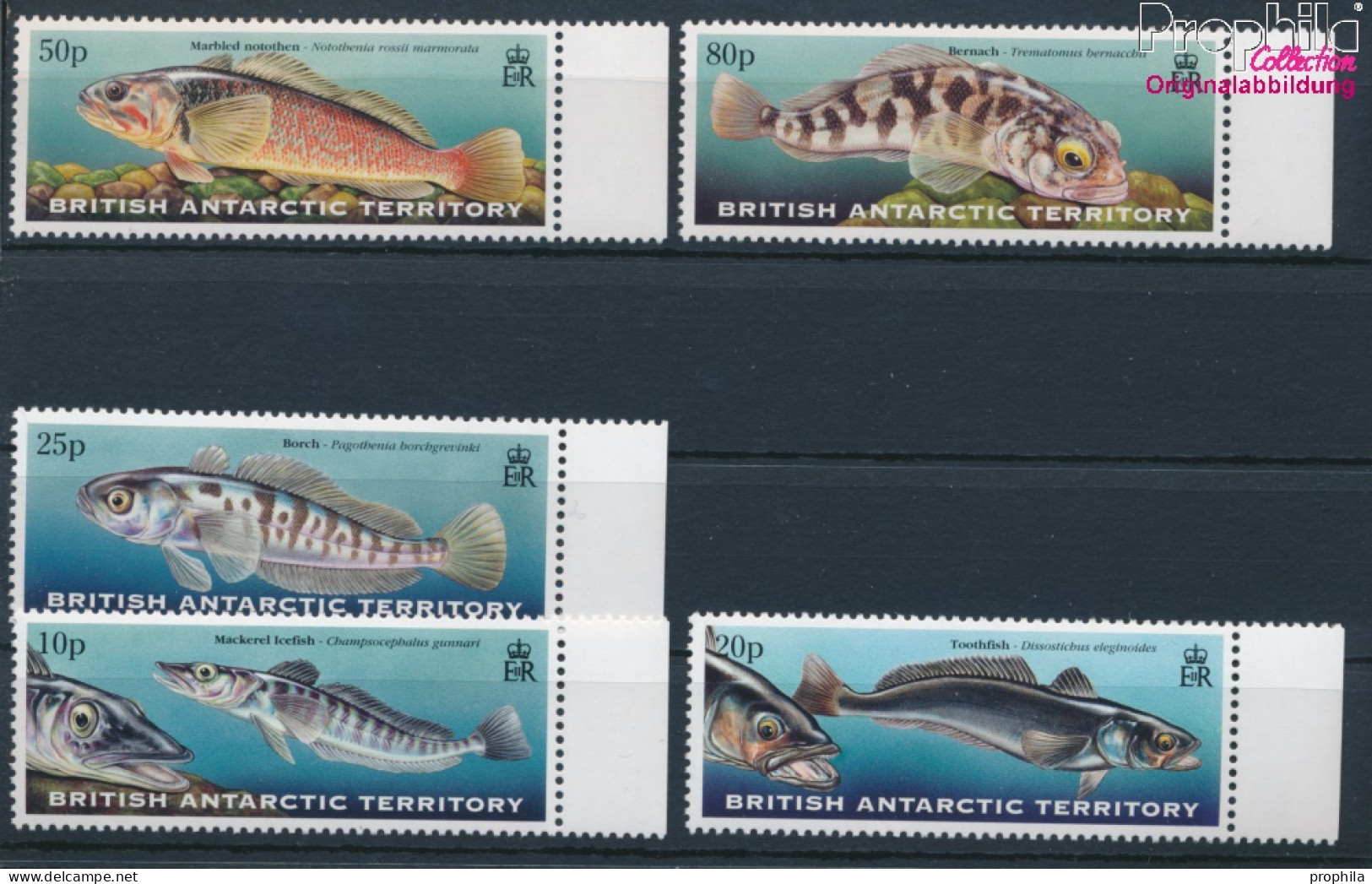 Britische Gebiete Antarktis 288-292 (kompl.Ausg.) Postfrisch 1999 Fische (10331989 - Ungebraucht