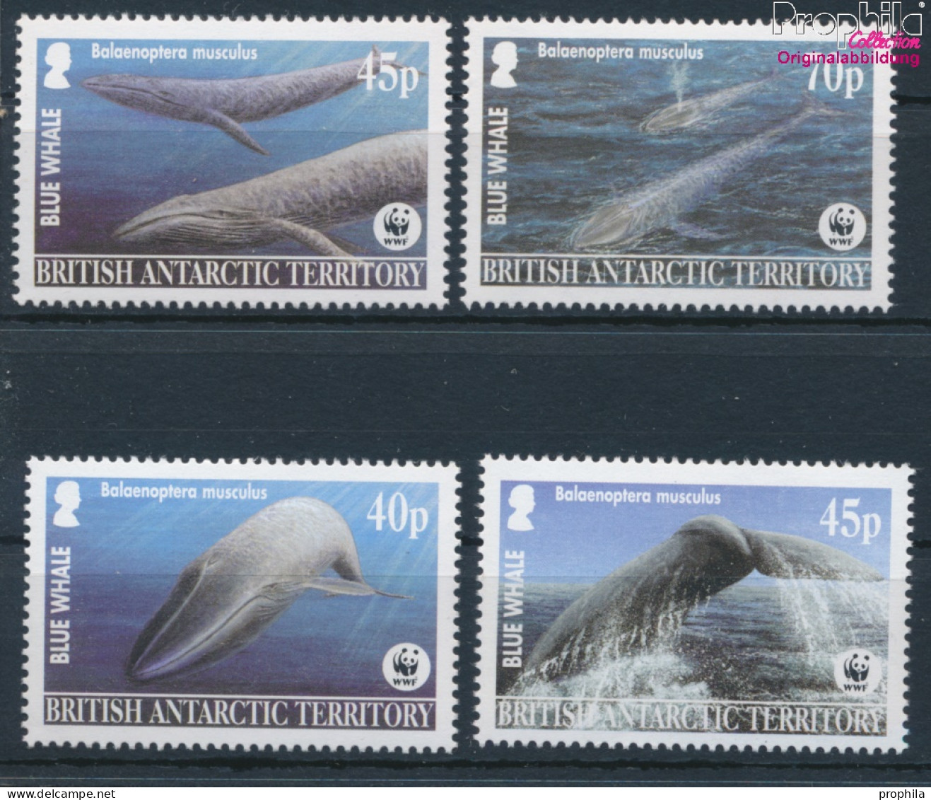 Britische Gebiete Antarktis 353-356 (kompl.Ausg.) Postfrisch 2003 Blauwale (10331978 - Unused Stamps