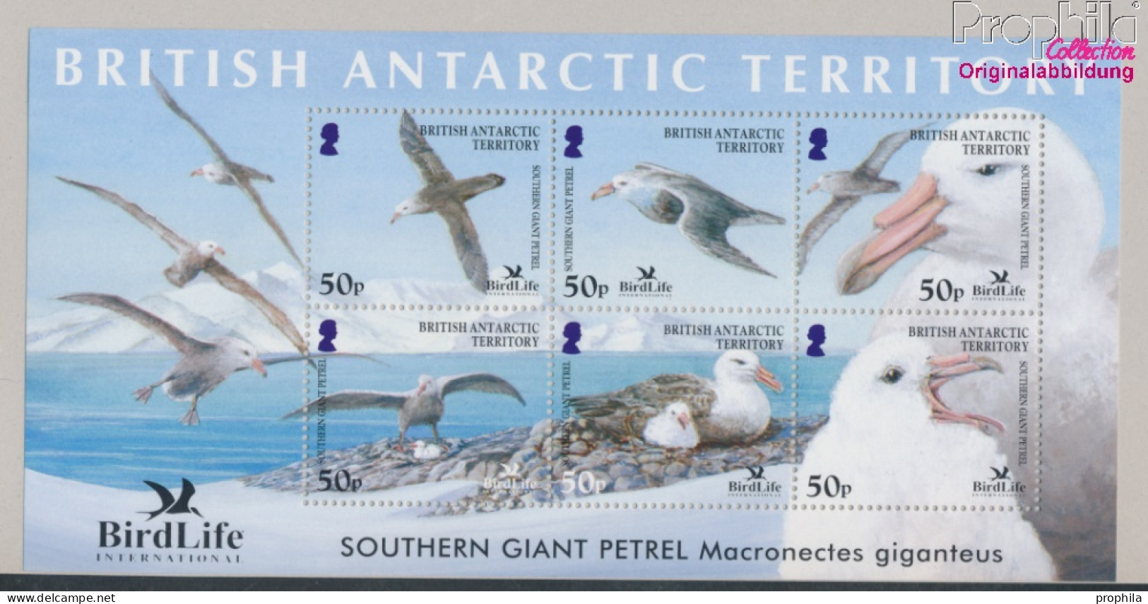 Britische Gebiete Antarktis Block12 (kompl.Ausg.) Postfrisch 2005 Sturmvögel (10331468 - Ongebruikt