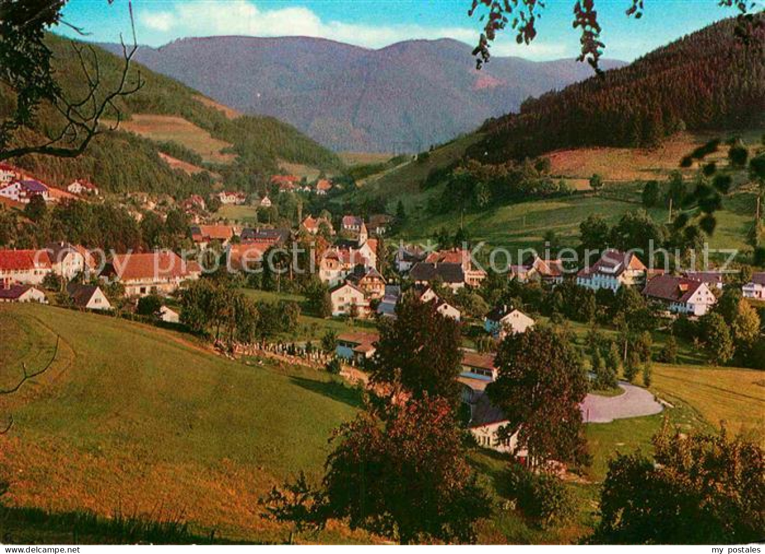 72880173 Oberprechtal Panorama Schwarzwald Elzach - Elzach