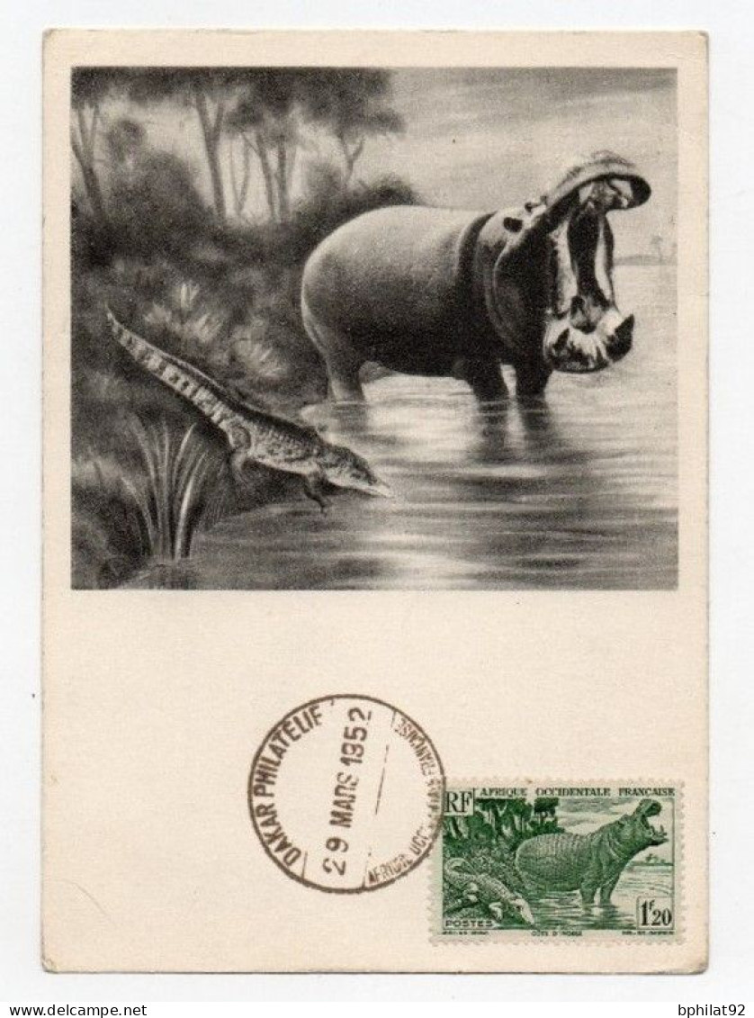 !!! AOF CARTE MAXIMUM HIPPOPOTAME CACHET DAKAR 1952 - Covers & Documents