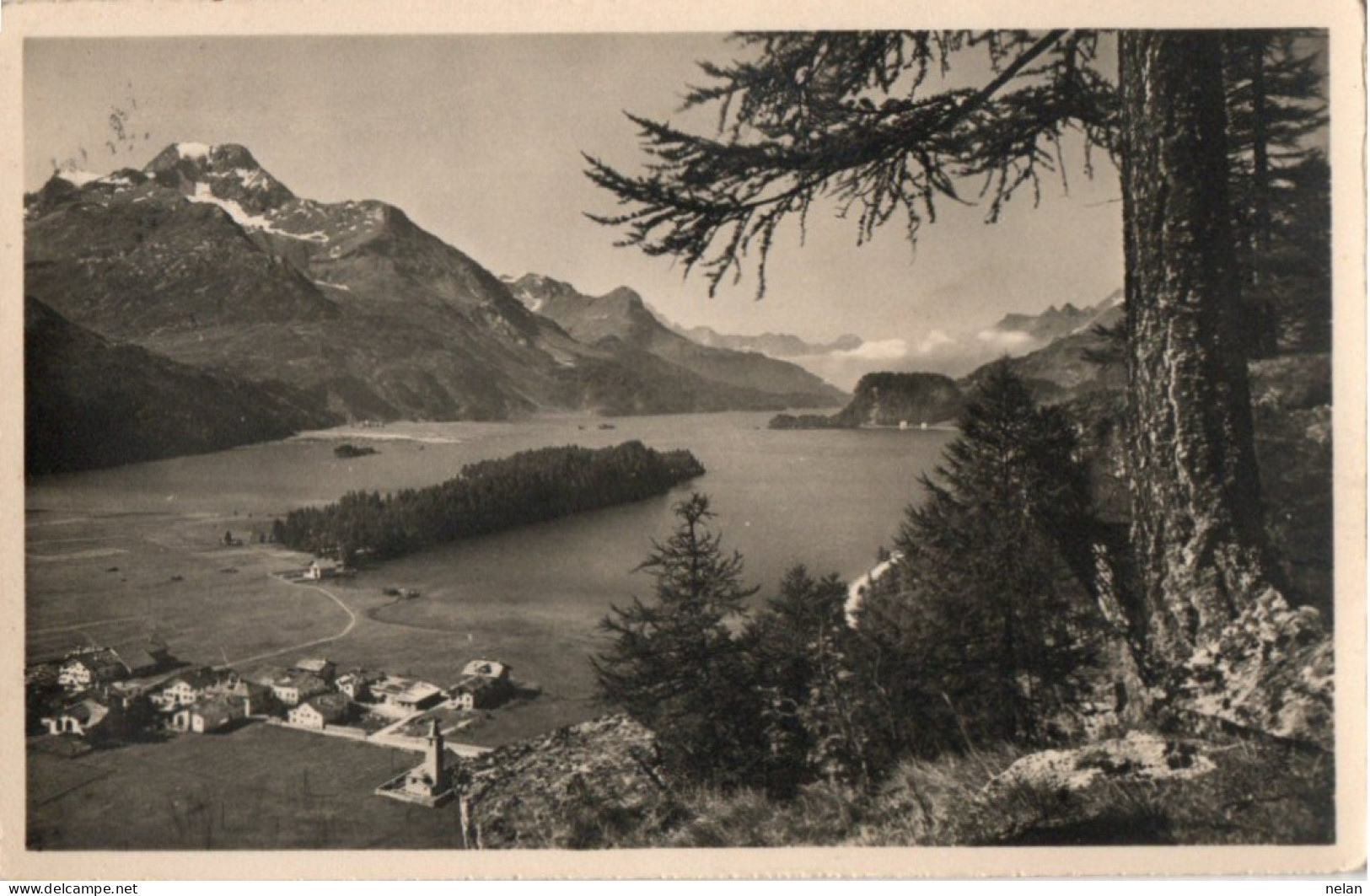 SILS - BASELGIA IM OBER ENGADIN - BLICK VON PLAZ AUF DEN SILSER SEE - F.P. - Sils Im Engadin/Segl