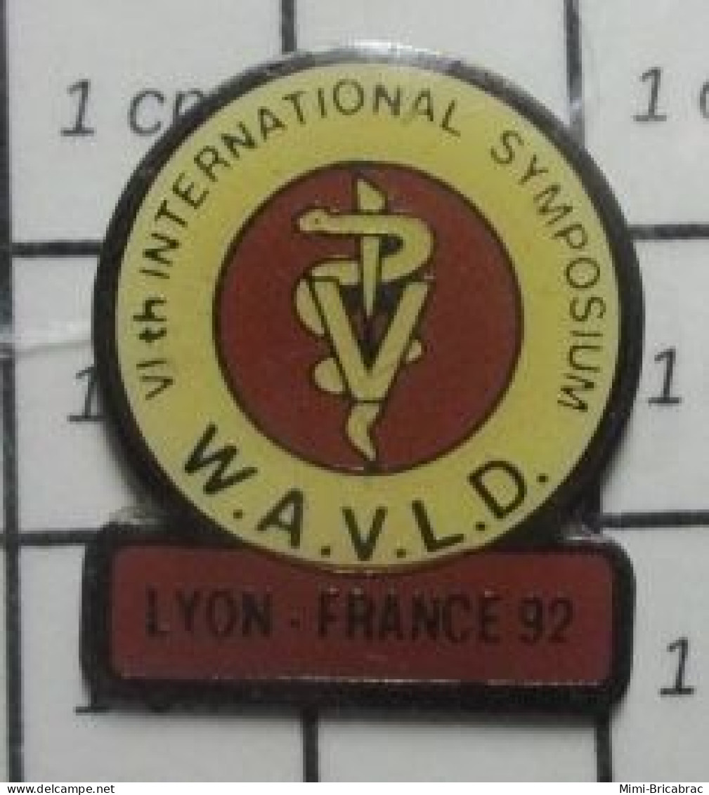 713L Pin's Pins / Beau Et Rare / MEDICAL / INTERNATIONAL SYMPOSIUM WAVLD LYON 1992 - Médical