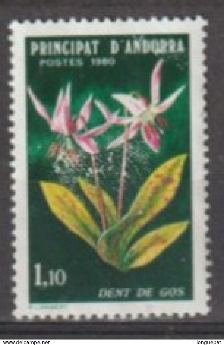 ANDORRE - Flore - Fleur D'Andorre : Dent De Chien  (Erythronium Dens-canis) - Famille Des Liliaceae - Used Stamps