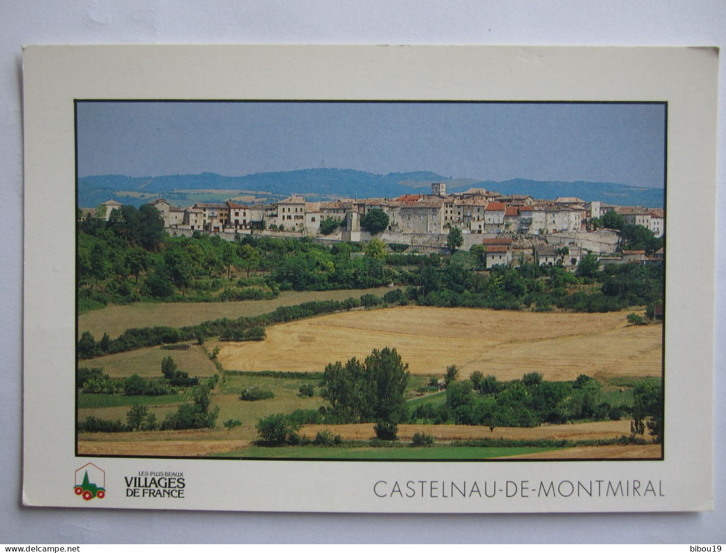 CASTELNAU DE MONTMIRAL  LA BASTIDE DANS SON SITE - Castelnau De Montmirail