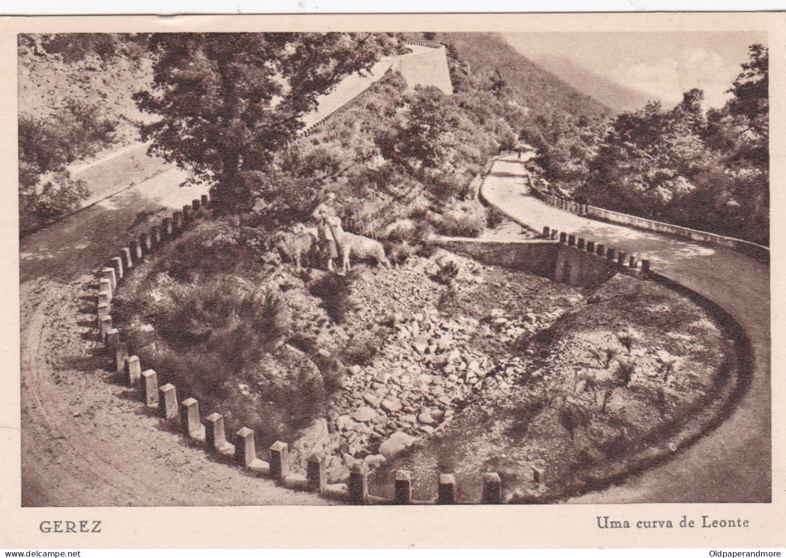 POSTCARD PORTUGAL - GEREZ - UMA CURVA DE LEONTE - Braga