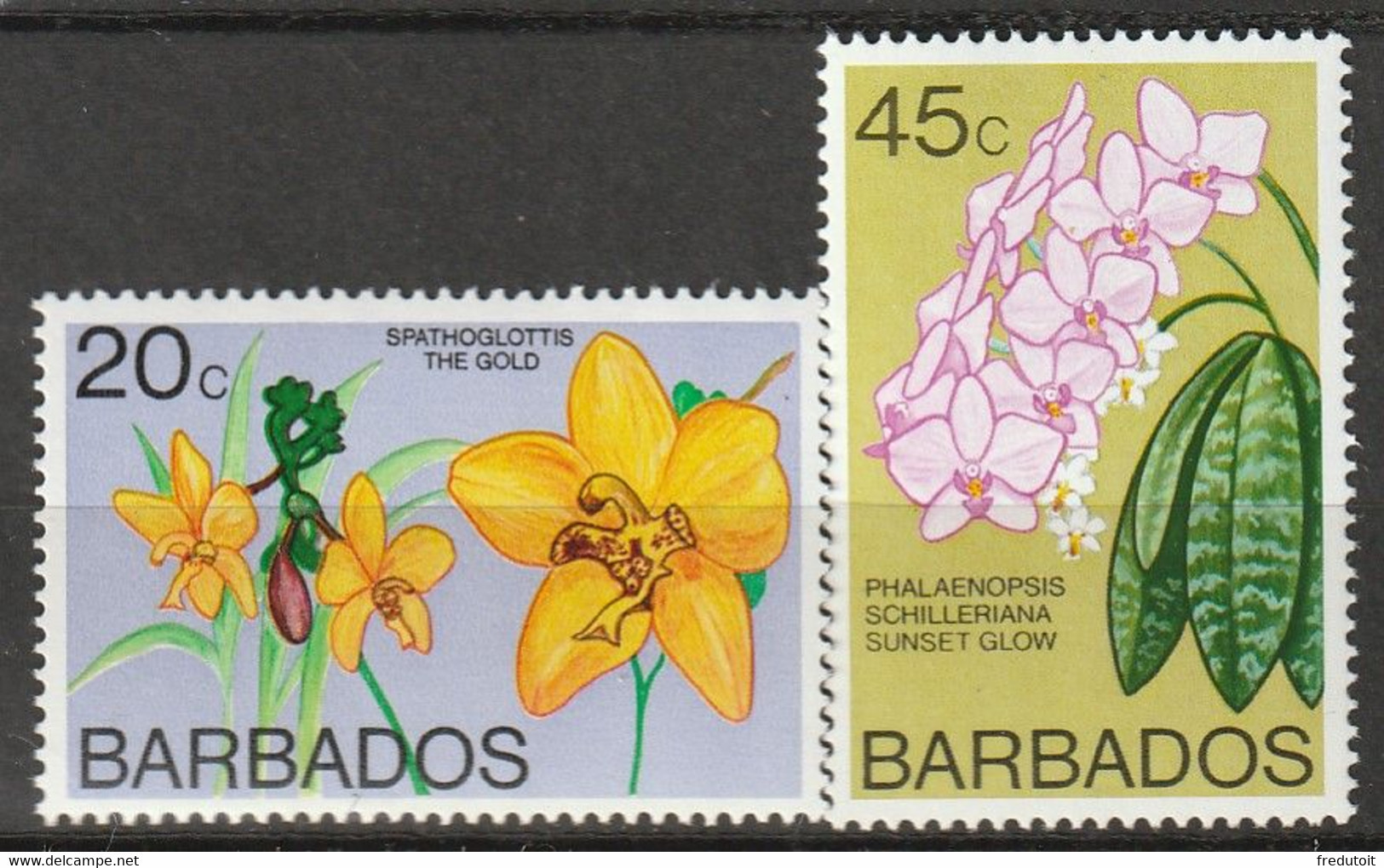 BARBADOS - N°432/3 ** (1977) Série Courante : Fleurs - Barbados (1966-...)